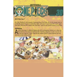 One Piece One Piece, Vol. 61, Book 61, (Paperback) - Walmart.com