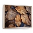 thumbnail image 2 of Designart "Harmonious Autumn Leaves In Sunlight VI" Leaves Floater Framed Canvas Prints, 2 of 5
