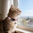 thumbnail image 2 of Mumup Rhinestone Cat Collar Breakaway, Soft Velvet Cat Collars with Bell, Adjustable Comfortable Cats Collar, 7.5-12.5 Inch for Cat, Kittens and Puppies, 2 of 7