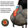 Higdon Outdoors Apex Full Strut Tom Turkey Decoy with