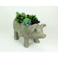 thumbnail image 2 of Zeckos Weathered Gray Resin Smiling Pig Planter Outdoor Décor 17 inch, 2 of 7