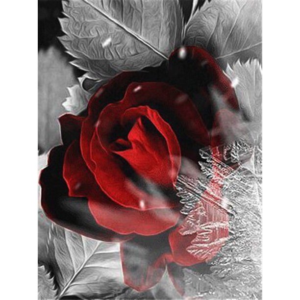 EverShine DIY Diamond Mosaic Flowers Cross Stitch Diamond Embroidery Rose Rhinestones Art Painting Black And Red Home DecorRound Drill 30x40cm Gao Jinjia LED