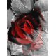 thumbnail image 1 of EverShine DIY Diamond Mosaic Flowers Cross Stitch Diamond Embroidery Rose Rhinestones Art Painting Black And Red Home DecorRound Drill 30x40cm Gao Jinjia LED, 1 of 2