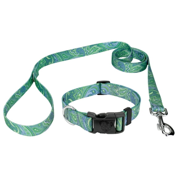 Country Brook Petz® Green Paisley Deluxe Collar and Leash, 2XS