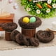 thumbnail image 1 of Fiudx Fosa de Pascua, Adorno Decorativo Natural, Diseño Artesanal de Plástico Marrón Oscuro, Material Ecológico, Decoración Multiusos para Jardines, Patios y Balcones, Varios Tamaños Disponibles., 1 of 7