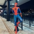 thumbnail image 2 of Disfraz de Spiderman para niños y adultos, mono de Cosplay Tobey Maguire, traje Zentai de superhéroe, disfraces de fiesta de Carnaval de Halloween Fivean unisex, 2 of 2
