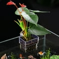 thumbnail image 4 of Pompotops Clearance Sales Aquarium Plant Holders, 4 of 6