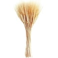 thumbnail image 1 of 100 tallos de trigo secos, gavillas de trigo para decorar la mesa de boda, la cocina del hogar (15,7 pulgadas), 1 of 5