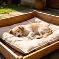thumbnail image 3 of Chew Proof Dog Bed for Crate Indestructible Kennel Mat with Reinforced Corners Washable Pad for Small Dogs 17.7x13.8 Inches, 3 of 3