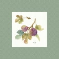 thumbnail image 3 of Audit, Lisa 20x20 Black Modern Framed Museum Art Print Titled - Orchard Bloom III Border, 3 of 5
