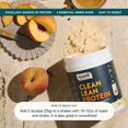 thumbnail image 4 of Proteína en polvo Nuzest Clean Protein Vegan 500 g, 4 of 6