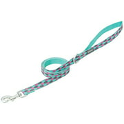 Terrain D.O.G. Patterned Dog Leash, Mint/Pink/Gray Honeycomb, 3/4" x 6