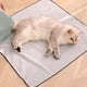 thumbnail image 5 of Gato Grooming Wrap: Envoltura autoadherente para cortar las uñas de los gatos Herramienta multifuncional para mascotas, 5 of 7