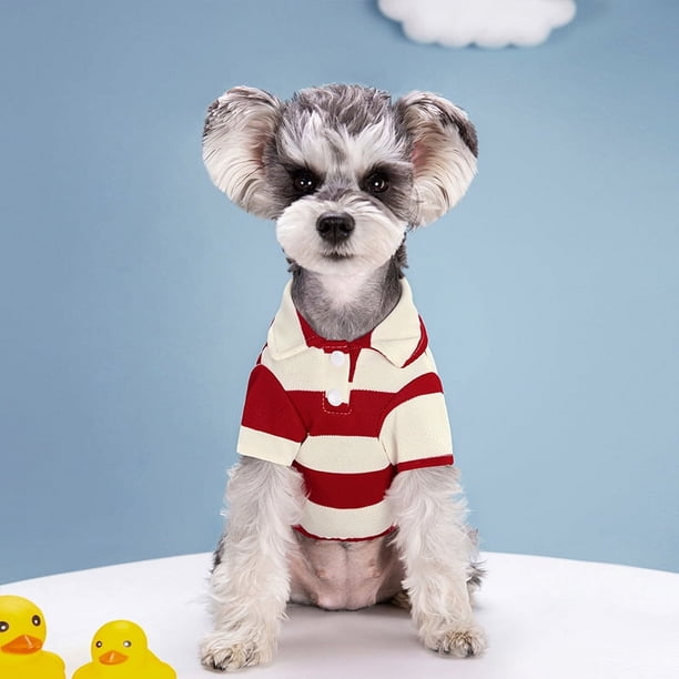 Suministros para mascotas Ropa para perros Verano Rayas Dos patas Osito de peluche Amargo Bo Mei Fa Dou Gato Ropa fina para mascotas