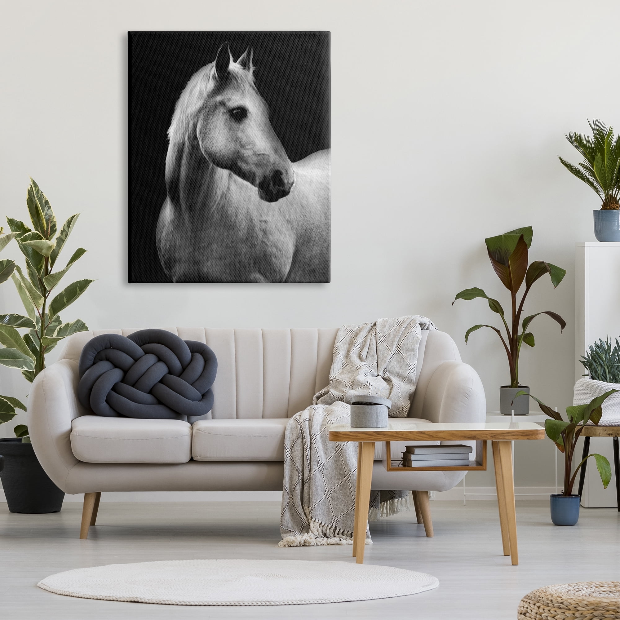 Stupell Industries Horse on Black Portrait Animals & Insects Photography Gallery Wrapped Canvas Art Print Wall Art, 36 x 48