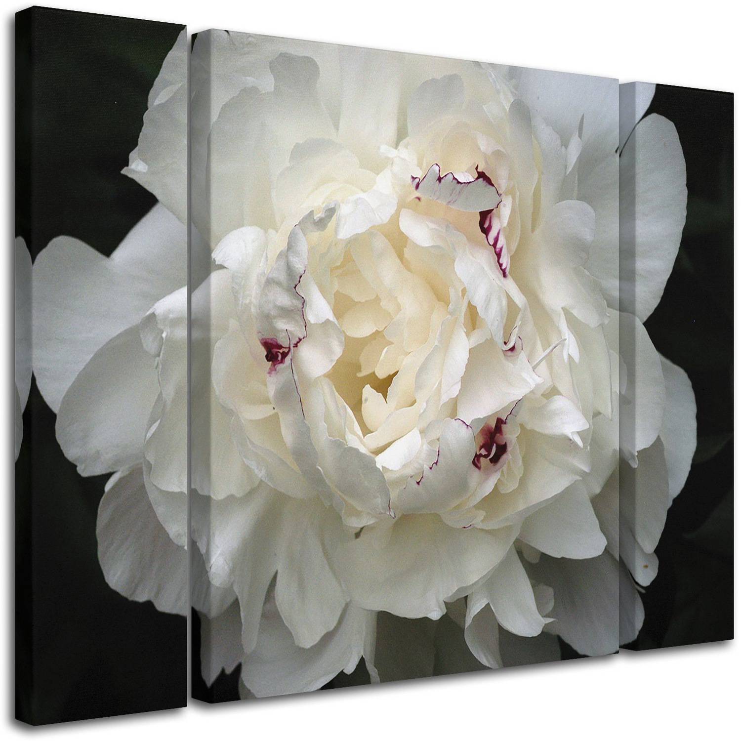 Kurt Shaffer "Perfect Peony" Multi Panel Art Set