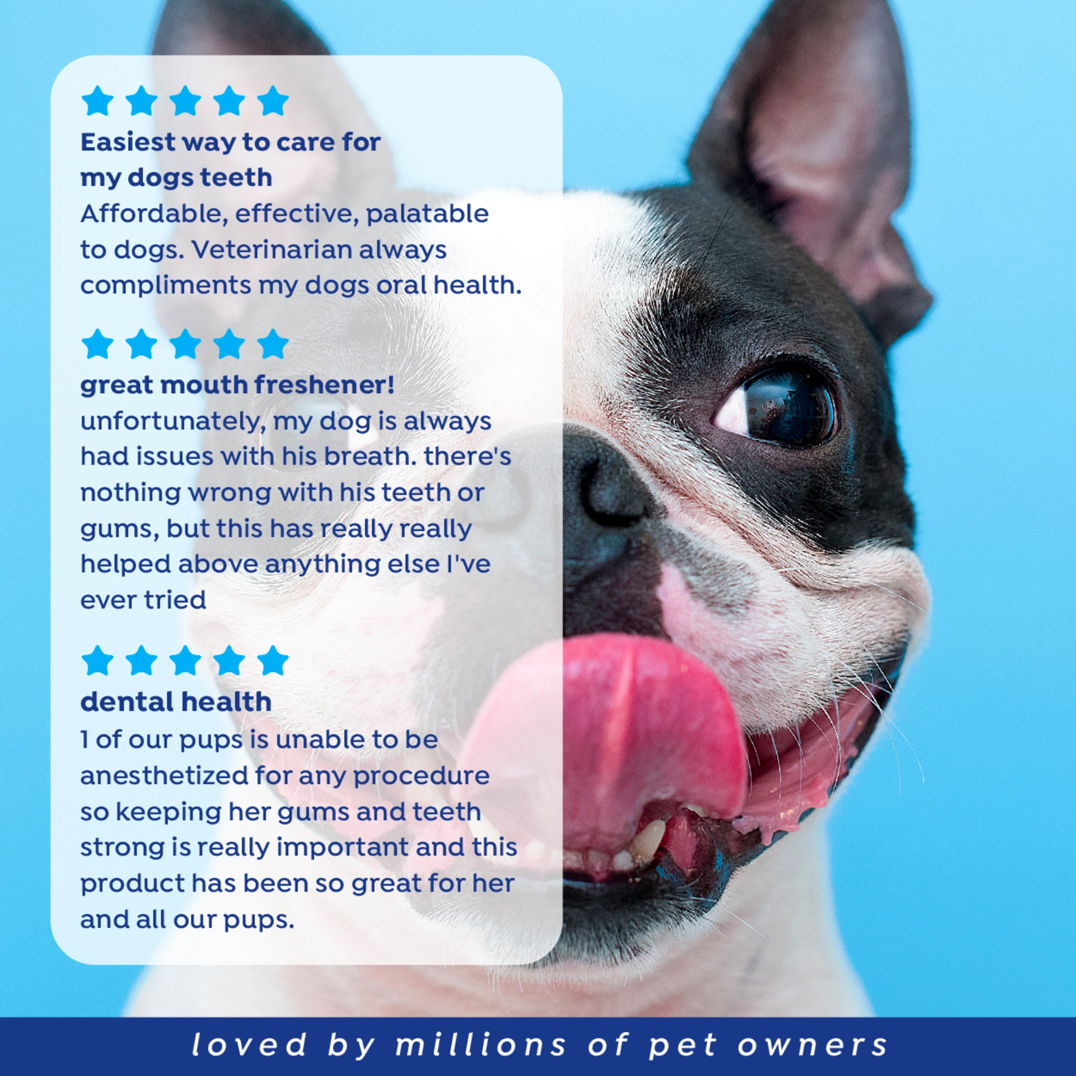 Naturel Promise Fresh Dental Dog Breath Freshener Water Additive for Dogs, 33 oz Bottle