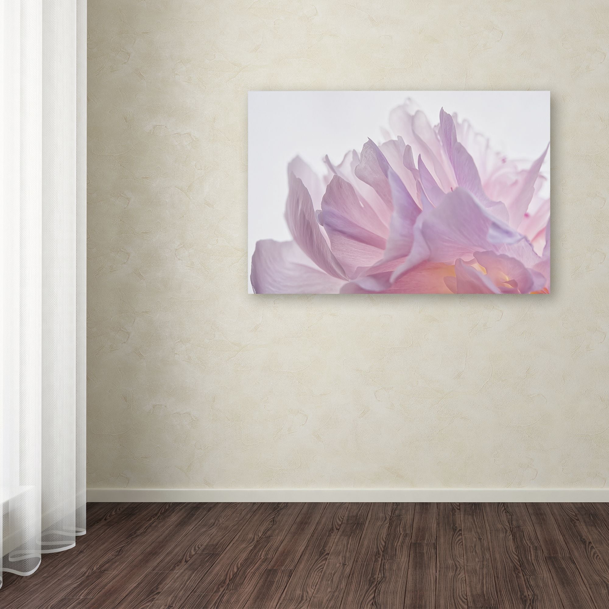 Trademark Fine Art 'Pink Peony Petals VI' Canvas Art by Cora Niele