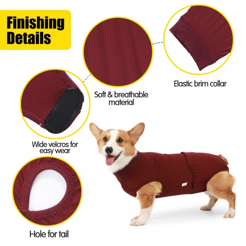 Dog Physiological Clothes Dog Diapers Aunt Clothes,Post-Neuter Clothes,Diapers,Pet Dog Clothes Diaper Strap Briefs Female Sanitary Panties XXS-3XL (2 Gaskets Included)