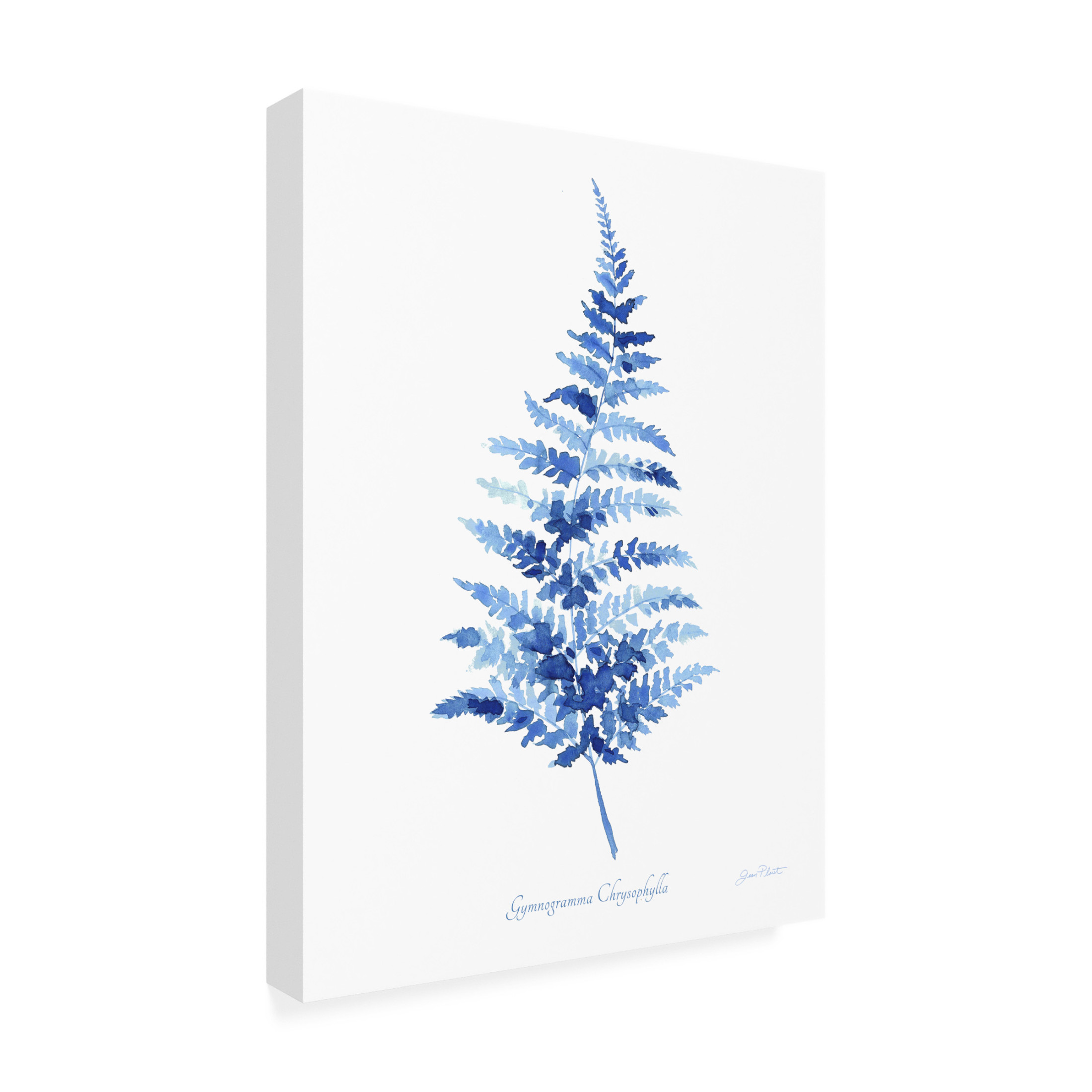 Canvas Wall Art - Jean Plout 'Indigo Botanical 10' Wall Art for Living Room, Bedroom, or Office Décor by Trademark Fine Art - 35 x 47 Inches