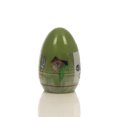 thumbnail image 2 of Juguete para moldear Slime Slimy Formula suiza Dinosaur in my Slimy Green, 2 of 2