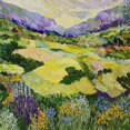 thumbnail image 3 of Friedlander, Allan 12x12 Black Modern Framed Museum Art Print Titled - Cool Grass, 3 of 5