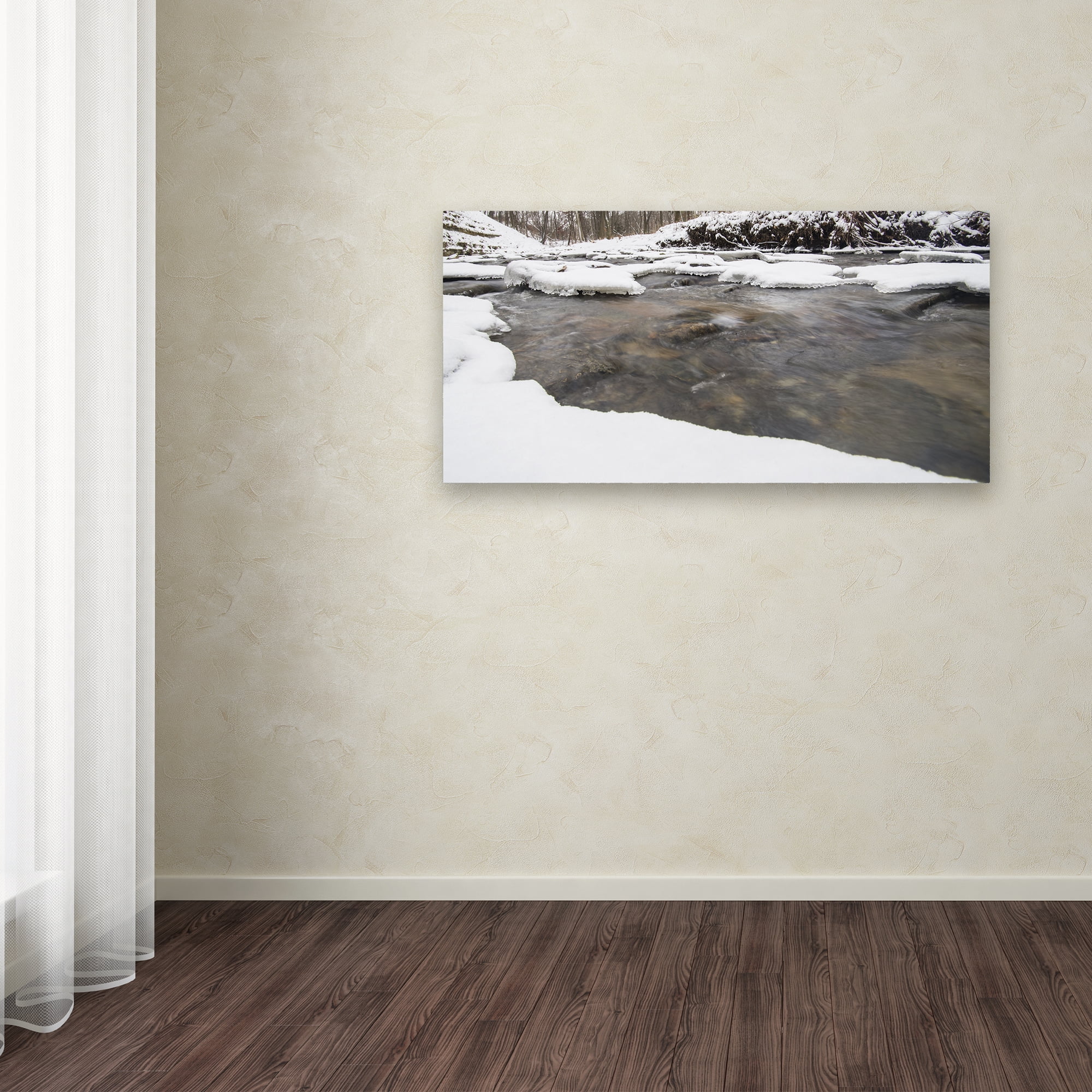 Trademark Fine Art 'Winter Streaming' Canvas Art by Kurt Shaffer