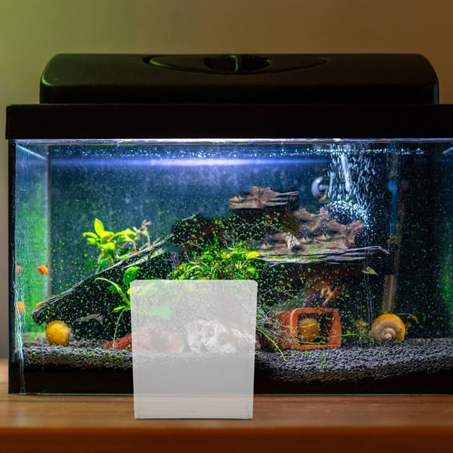 TABLZONE Boîte d'Observation Rectangulaire pour Poisson 1Pcs pour Aquarium Élevage de Poissons Acrylique Transparent