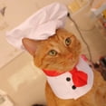 thumbnail image 5 of Disfraz de chef para perros: para Halloween, fiestas, sesiones de fotos y regalos, 5 of 5