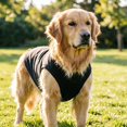 thumbnail image 2 of Sleeveless Dog Tank Top Summer Breathable Plain Pet Vest Machine Washable Soft Cotton Puppy T-Shirt for Small Medium Dogs Cats Indoor Outdoor Daily Wear, 2 of 5