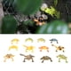 thumbnail image 4 of Frogs Model, PVC Material Elasticity Amphibian Toy Set For Children For Early Education ANGGREK Otros, 4 of 8