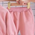 thumbnail image 5 of TOWED22 Toddler Girl Fall Clothes Soft Outfits Set Graphic Print/Embroidery Knit Top & Sweatpants 2Pcs Cute Home Outdoor,Pink,9-12 M, 5 of 7