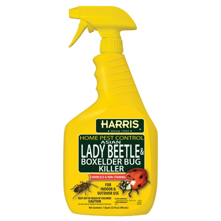 Harris Home Pest Control Lady Beetle & Boxelder Bug Killer Spray -  Insecticide