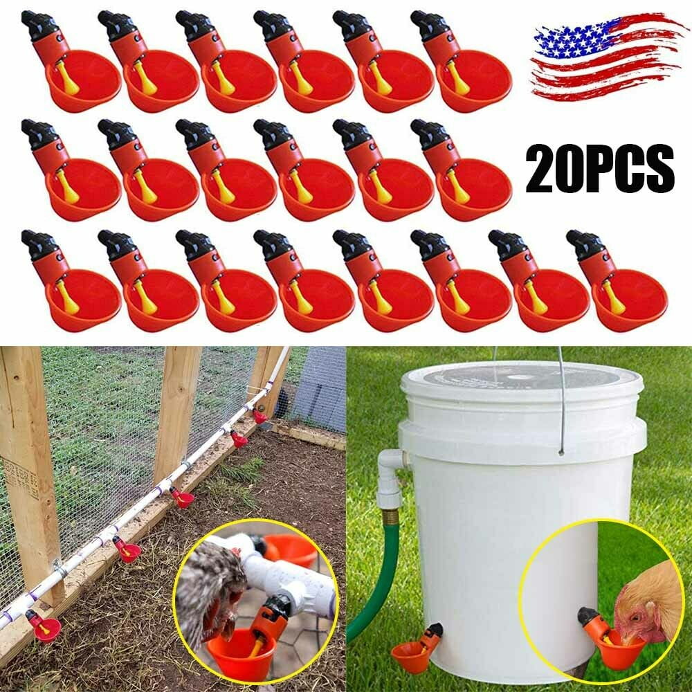 20Pack Poultry Water Drinking Cups Chicken Hen Plastic Automatic Drinker Quail P 