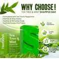 thumbnail image 3 of (2 pack) Herbishh Tea Tree & Mint Shampoo Bar – Tea Tree Oil Soap Bar for Oily Hair & Scalp Cleanse – Solid Travel Size Shampoo for Men & Women – Minty Deep Cleansing, 3.53 oz, 3 of 9