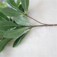 thumbnail image 3 of Bearachild Paquete de 10 ramas de plantas de simulación de rama de hoja artificial para boda, oficina, pared de jardín al aire libre, decoración DIY Plantas Artificiales Verde Bearachild HA8513-01B, 3 of 6