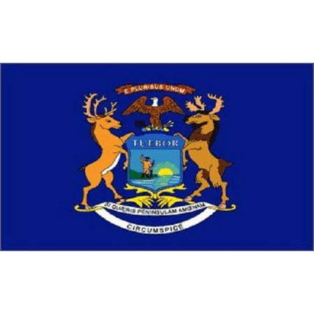 Michigan State Banner - Michigan Flag MI State Banner Pennant 2x3 foot indoor outdoor 24x36 inches New