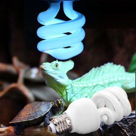 Reptile Heat Lamp E27 Reptile Lamp Outdoor AC 220-240V Safety Reptiles