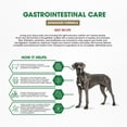 thumbnail image 3 of Dr. Pol® Clinical Gastrointestinal Care Advanced Beef Recipe – Sensitive Digestion Adult Dog Food, 7 lb Bag, 3 of 7