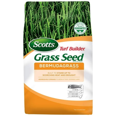 Best Grass Types For Southern Maryland - Best Grass Seed