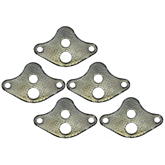 EGR Valve Gasket