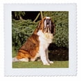thumbnail image 4 of Courtepointe Carrée 3dRose Saint-Bernard 51x51 cm Coton, 4 of 4