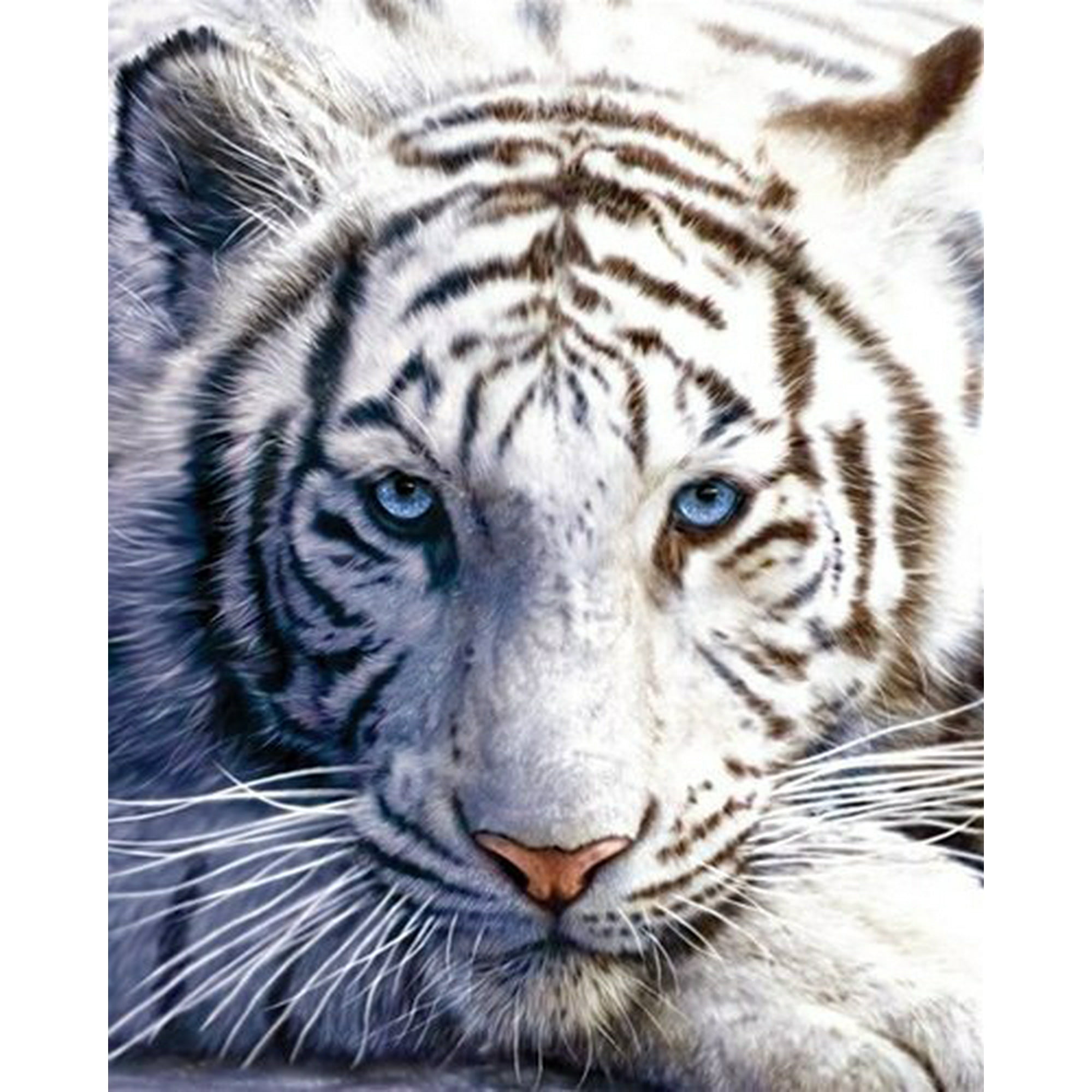 White tiger blanket sale