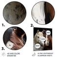 thumbnail image 3 of Designart "Dynamic Equine Duo White and Brown Horse IV" Animals Metal Wall Decor, 3 of 5
