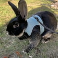 thumbnail image 2 of Rabbit Harness Comfortable Adjustable Traction Tool Ferret Rats Hamster Soft Mesh Harness Leash Vest Set Pet Supplies, 2 of 3