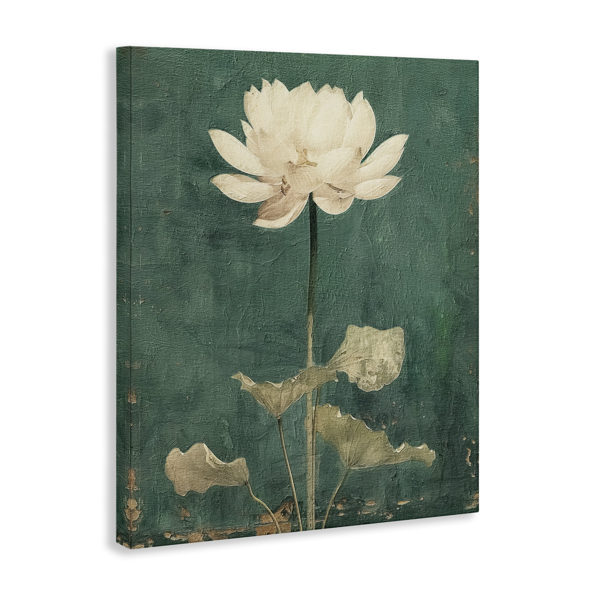 Stupell Industries Vintage Floral Bud Plants & Flowers Painting Wrapped Canvas Art Print Wall Art, 24 x 30