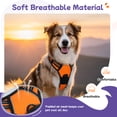 thumbnail image 4 of Pigo Dog Harness No Pull Pet Harness with 2 Leash Clips, Adjustable Soft Padded Dog Vest, No Choke Reflective Outdoor Pet Oxford Vest with Easy Control Handle for Large Dogs, Orange, 4 of 11