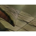 thumbnail image 4 of Ambesonne Fantasy Quilted Bedspread Set 3 Pcs, Tree on Cliff Precipice, King Size, Sand Brown Cinnamon, 4 of 5