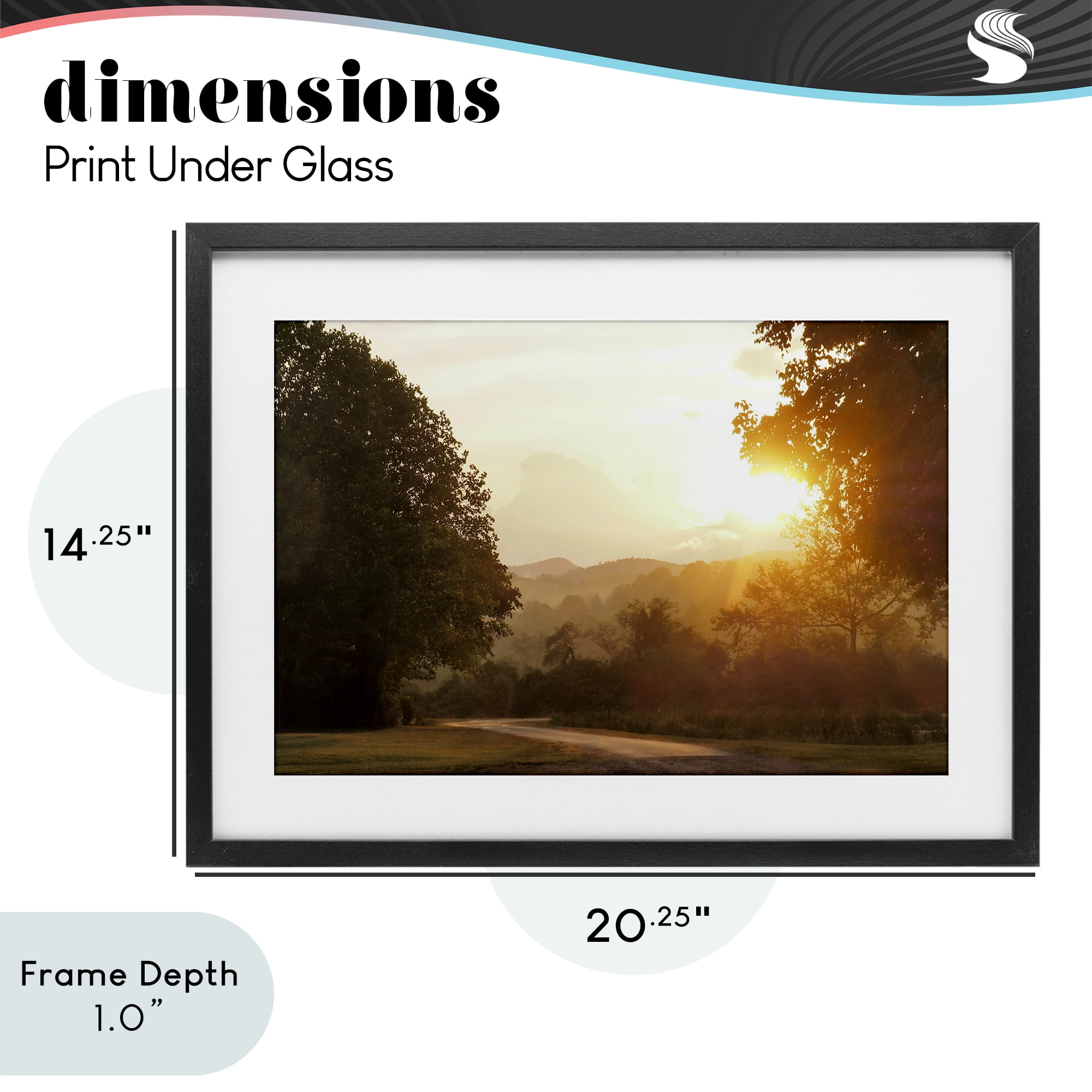 Stupell Industries Golden Morning Between Trees Black Framed Print Under Glass, design by Gail Peck