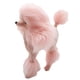 thumbnail image 5 of Serie de artesanías de animales de simulación, perro de peluche, caniche, caniche multicolor, 5 of 6